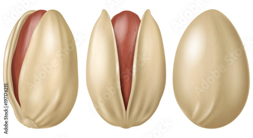 Pistachios. Vector illustration.