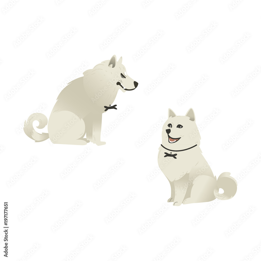 Set of sitting white fluffy dogs with different emotions on face - happy and evil, isolated on white background. Cute cartoon style pets. Vector illustration. Set of sitting white fluffy dogs with different emotions on face - happy and evil, isolated on white background. Cute cartoon style pets. Vector illustration.