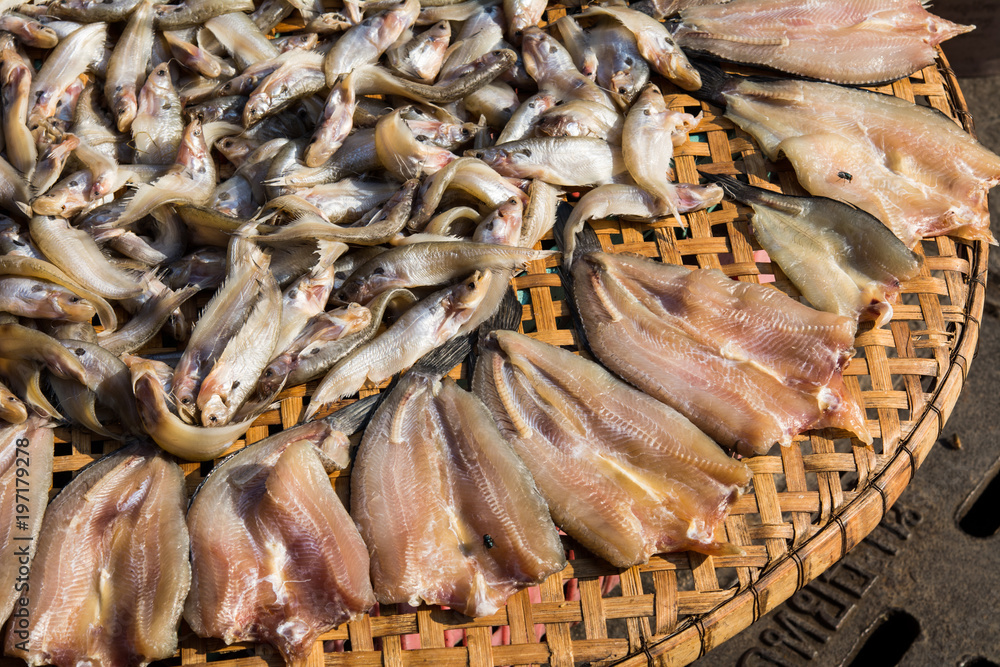 Dried Raw Salted Fish in a Tray, Row of Dried fishs Under The Sun Dried Raw Salted Fish in a Tray, Row of Dried fishs Under The Sun