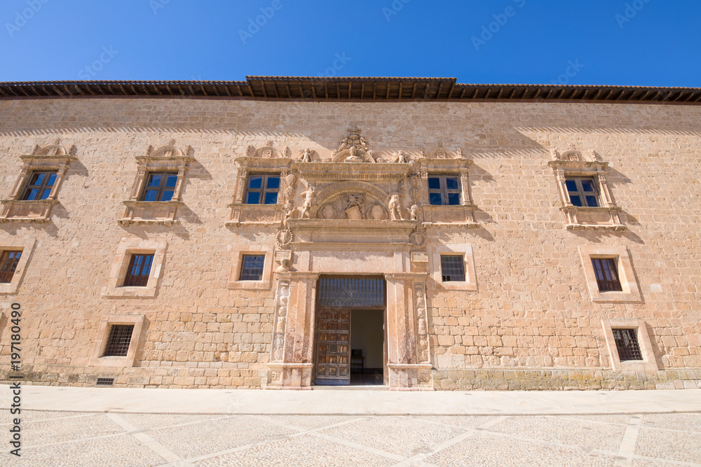 facade of Palace of the Counts of Miranda, landmark and public monument of sixteenth century, in Penaranda de Duero village, Burgos, Castile and Leon, Spain, Europe
