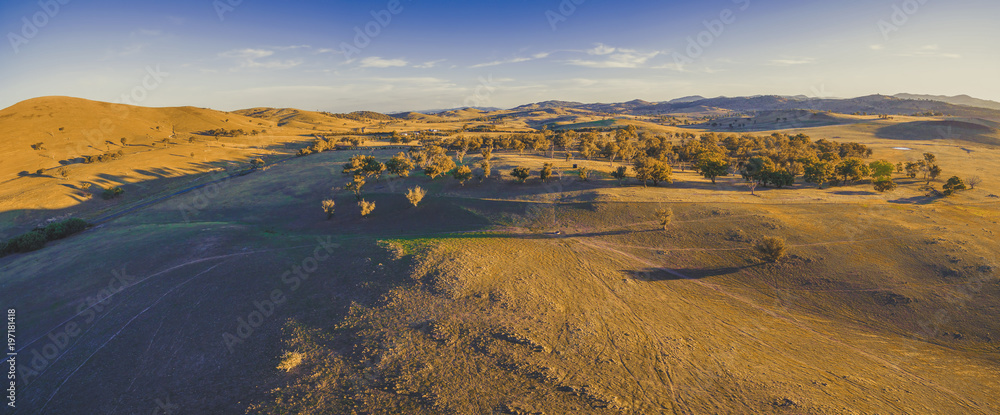 Aerial panorama of scenic yellow hills and trees at sunset with long shadows