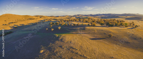 Aerial panorama of scenic yellow hills and trees at sunset with long shadows