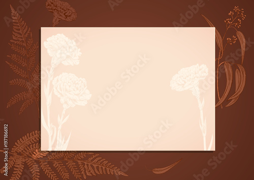 Horizontal rectangular frame, template for invitation: carnation schabaud, fe...