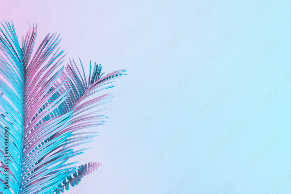 Fototapeta premium Tropikalne i palmowe liście w żywych, pogrubionych kolorach holograficznych. Sztuka koncepcyjna. Minimalny surrealizm.
