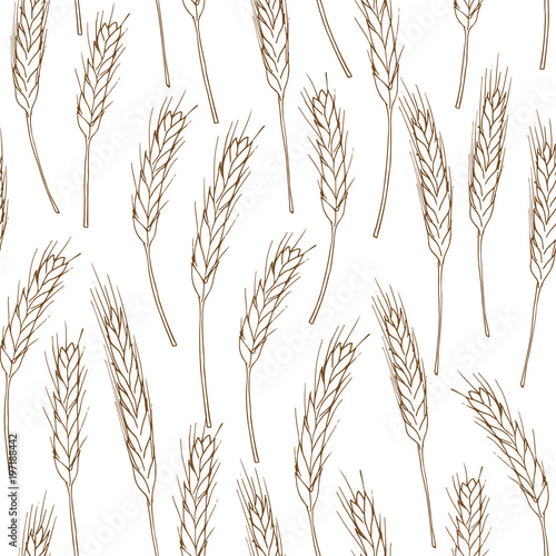 Spikelets of wheat seamless background