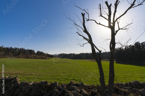 Wallpaper Mural 제주도 아침미소목장 Torontodigital.ca