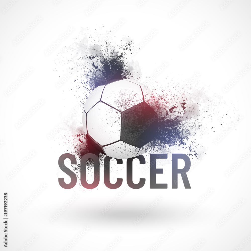 Fototapeta premium Soccer ball on white background, grunge effect.