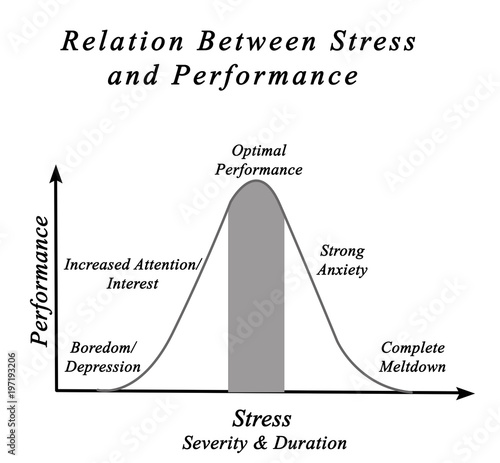 Billede på lærred Relation Between Stress and Performance