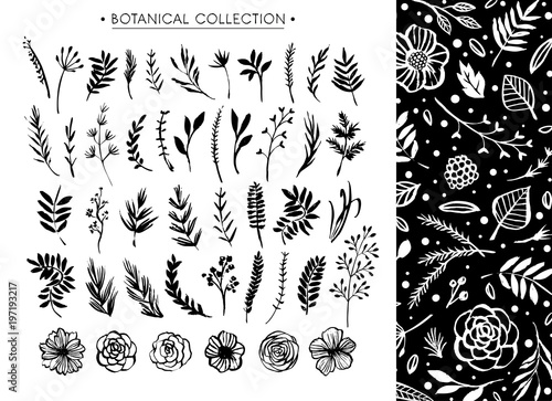Botanical collection with floral pattern. Flowers, branches, and leaves. Hand drawn design elements. Nature vector illustration.