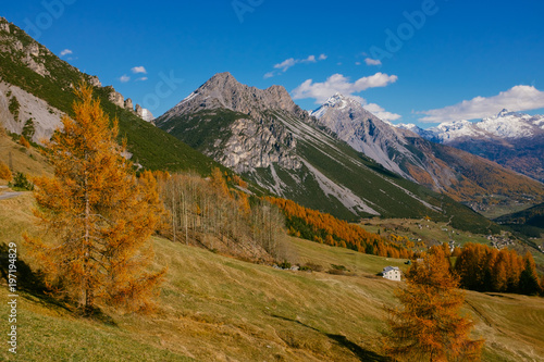 Beautiful colored larches with autumn colors in the mountains.