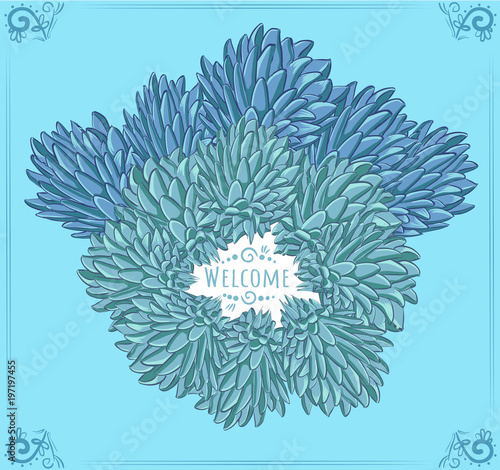 Vector frame blue echeveria plants with text Welcome