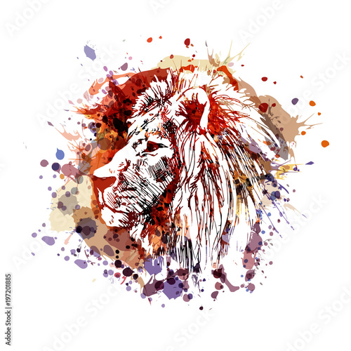 Vector color illustration of lion head