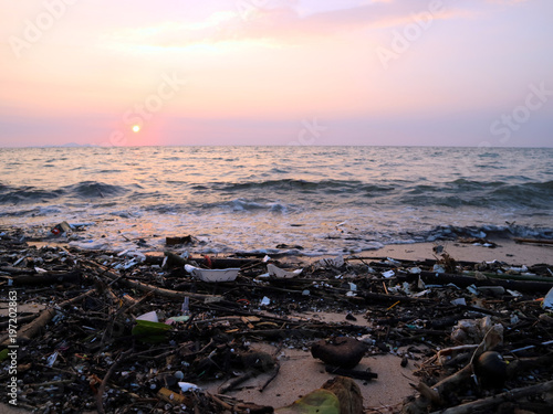 foam plastic bamboo and waste pollution on beach sunset background © darkfoxelixir