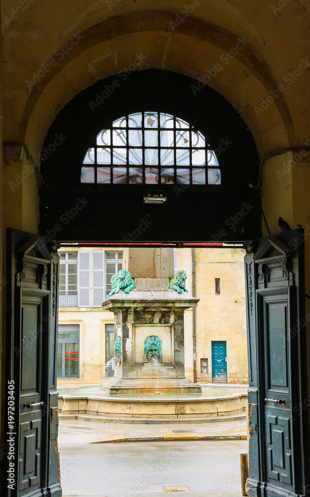 A view through open doors on the fountain with mythological lions at city hall square in Arles, Provence, France. 