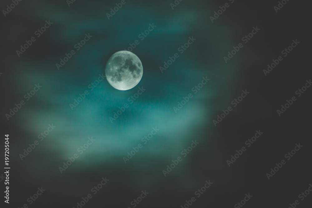 Moon Moon