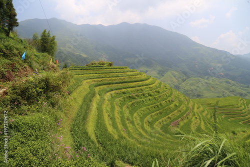 Longsheng Rice Terraces © Fike2308