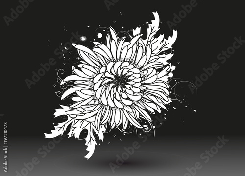 Zeichnung einer weißen Chrysantheme auf schwarzem Hintergrund