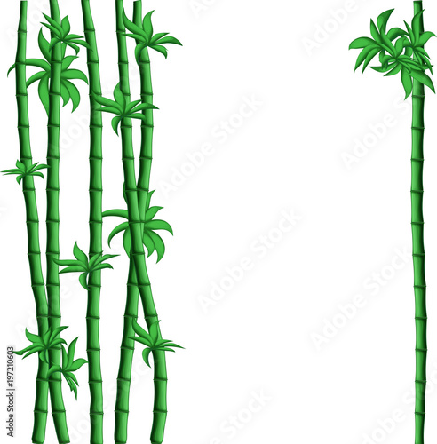 Green Bamboo vector frame in square composition