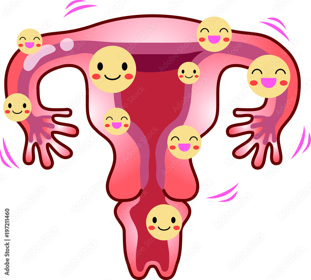 Healthy Uterus Nutrients Healthy Uterus Nutrients