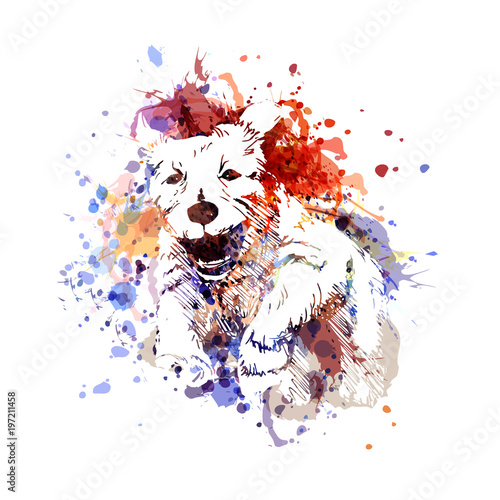 Obraz na płótnie Wektorowa kolor ilustracja działający pies