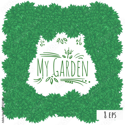 Vector card  echeveria frame My Garden