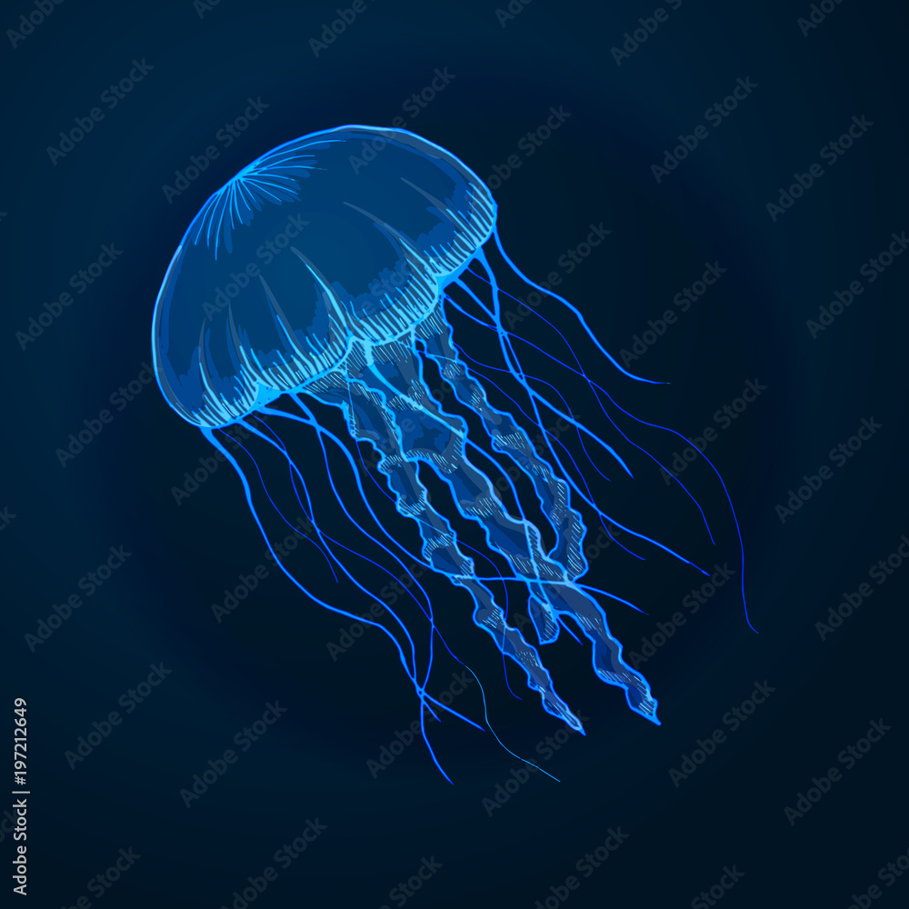 Naklejka premium Ręcznie rysowane szkic na białym tle meduzy, zwierzęta morskie