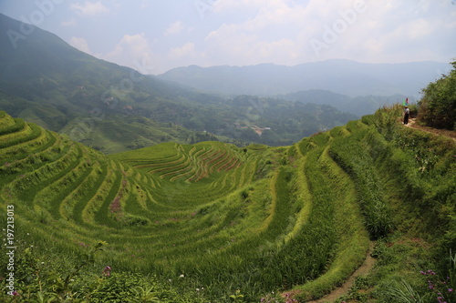 The Longsheng Rice Terraces 