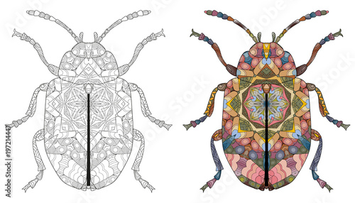 Zentangle stylized beetle. Hand drawn decorative vector illustration