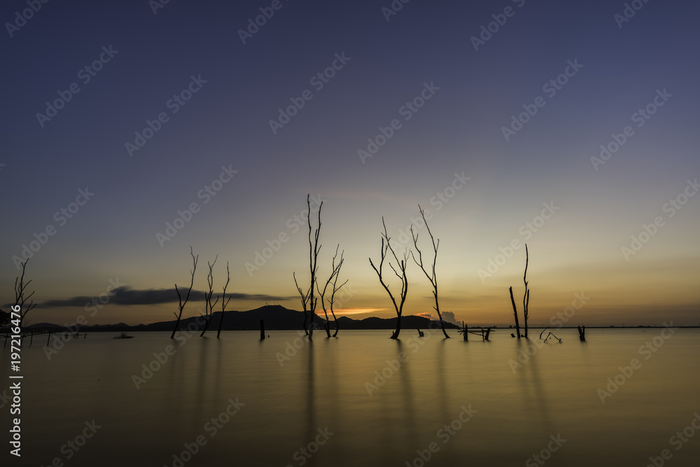Silhouette of dry tree in the lake at sunset. Space for add text