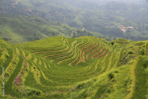 Dragon Backbone Rice Terraces in China © Fike2308