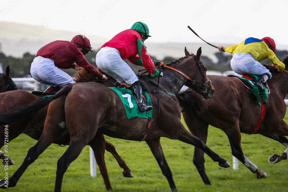 Race horses and jockeys in competing in a race Race horses and jockeys in competing in a race