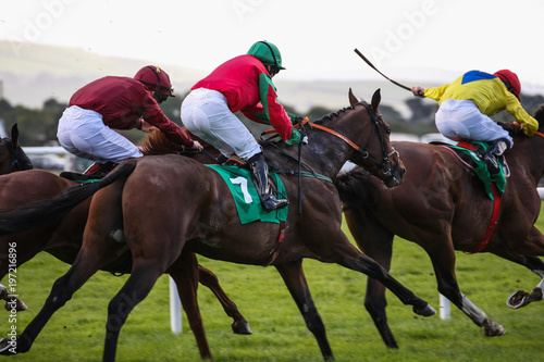 Race horses and jockeys in competing in a race 