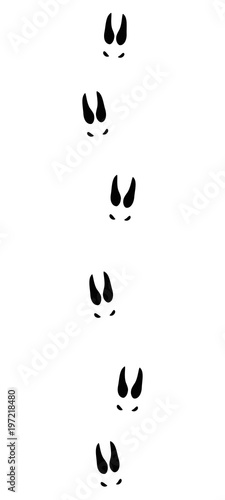 Chamois or goat tracks - isolated black icon vector illustration on white background.