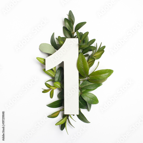 Number one shape with green leaves. Nature concept. Flat lay. Top view