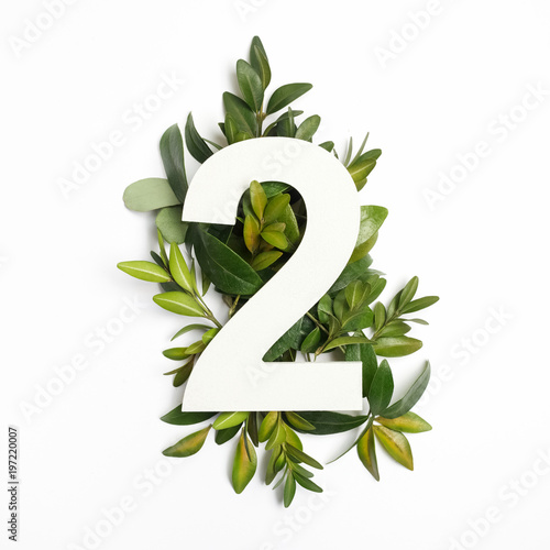Number two shape with green leaves. Nature concept. Flat lay. Top view