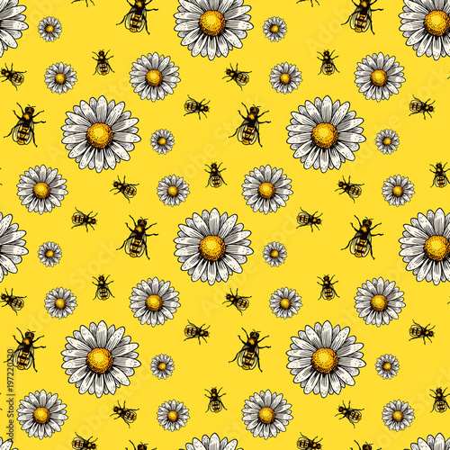 Apiary bee vector chamomile hand drawn vintage honey making farmer beekeeper illustration nature product seamless pattern background.