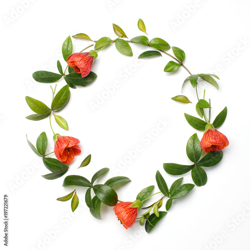 Flowers composition. Wreath made of orange flowers and green leaves on white background. Flat lay, top view