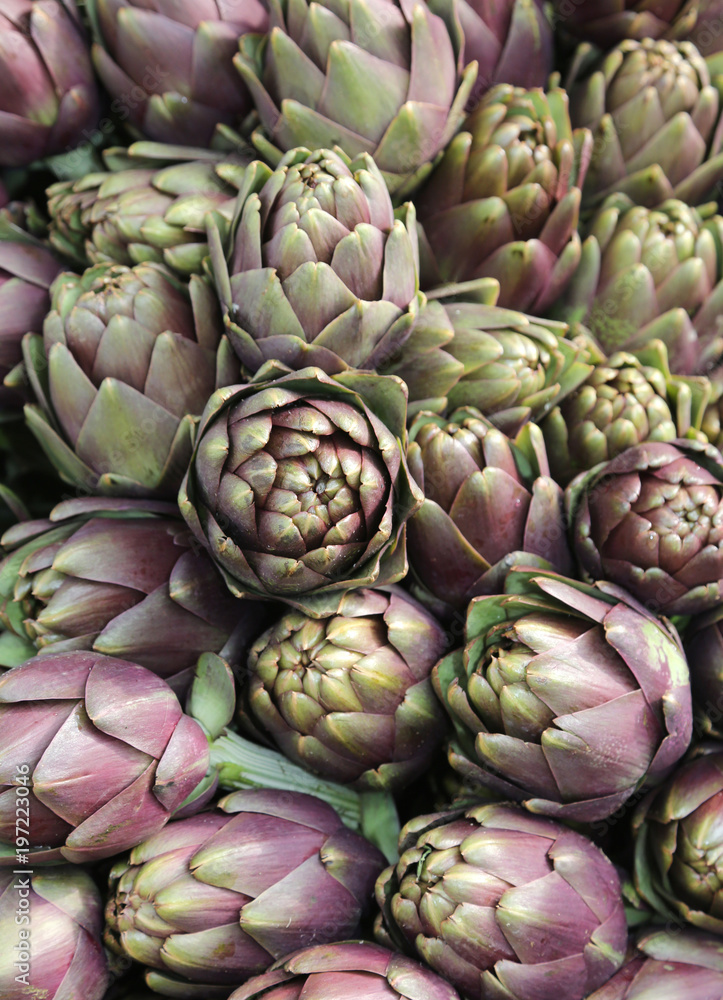 Fototapeta premium background of many ripe artichokes