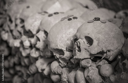 Billede på lærred cimitero delle fontanelle