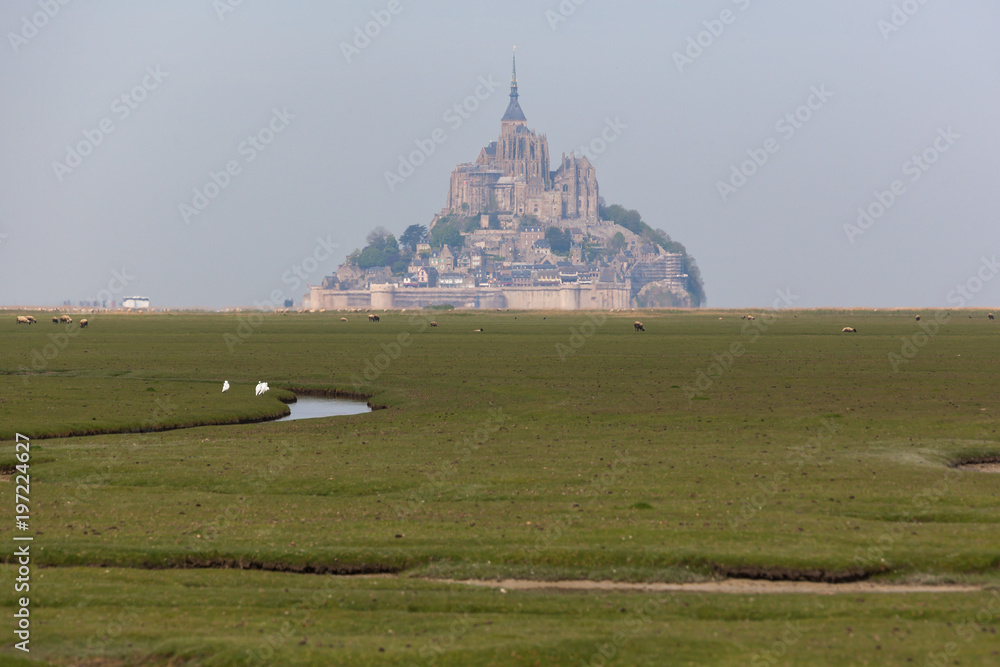 custom made wallpaper toronto digitalView of famous Mont Saint-Michel abbey in a haze with sheep grazing on fields of fresh green grass on the foreground, Normandy, France
