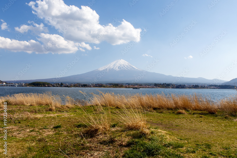 Mount Fuji with grass field on the front Mount Fuji with grass field on the front