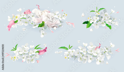 White and pink summer flowers bouquet set