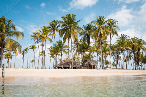 Beach hut, palm trees  on small island  photo