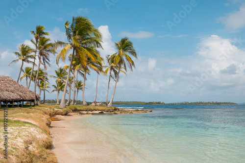 Fototapeta Naklejka Na Ścianę i Meble -  beach hut on caribbean island  - Coast with palm trees and bungalow