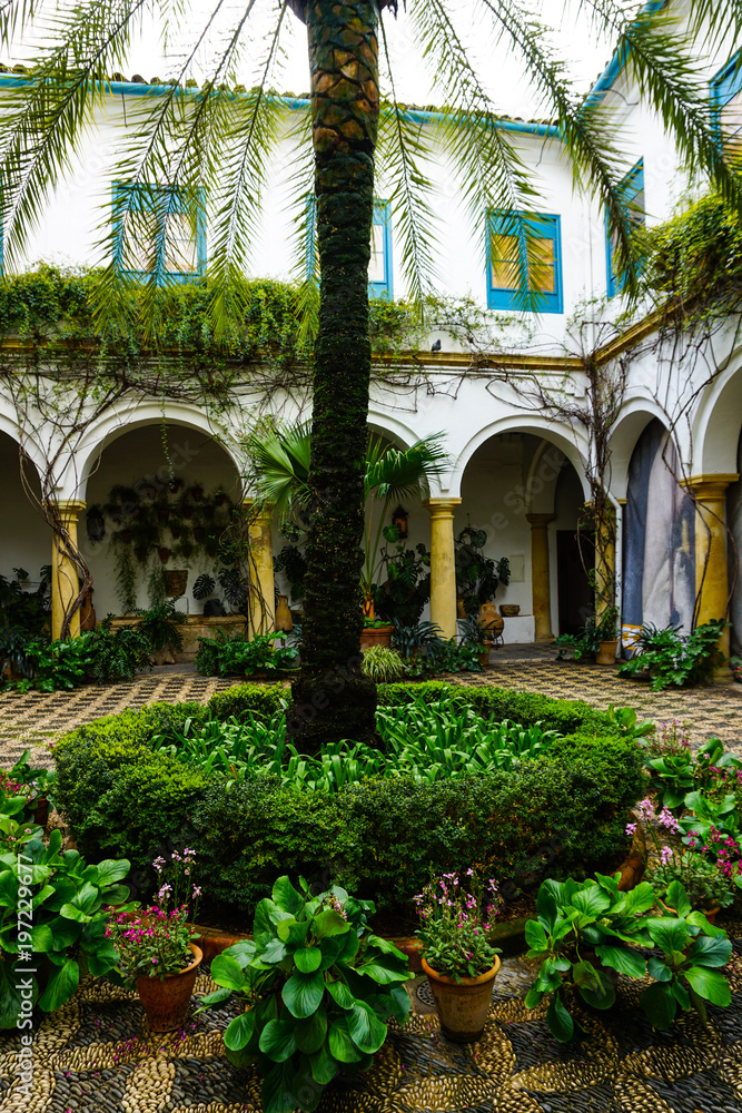 Fototapeta premium patio con jardín y plantas verdes