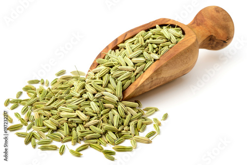 dried fennel seeds in the olive wood scoop, isolated on white