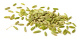 close up of dried fennel seeds isolated on white