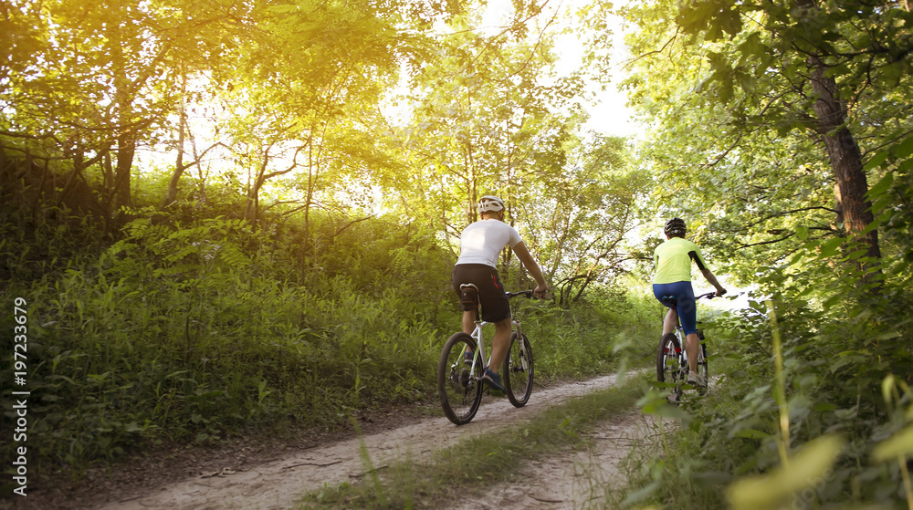 Fototapeta premium a woman and a man cycling in summer in the park on bicycles