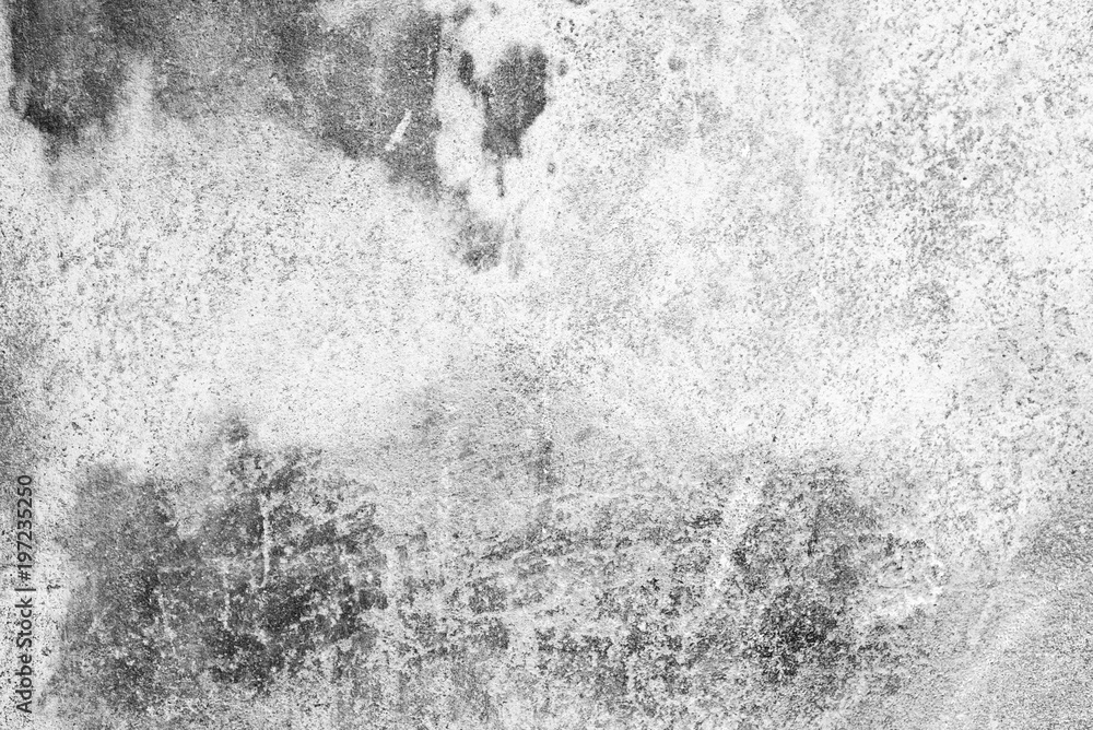 Wall fragment with scratches and cracks Wall fragment with scratches and cracks