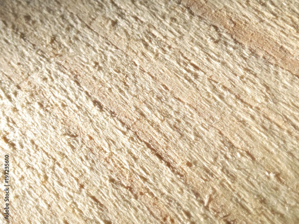 Texture of sawed wood natural natural daylight of the sun Texture of sawed wood natural natural daylight of the sun